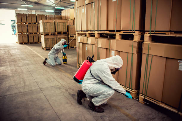 Best Commercial Pest Control Services  in Big Sandy, TX
