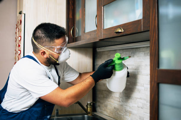 Best Pest Prevention Services  in Big Sandy, TX