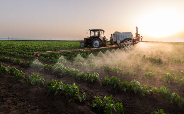 Best Best Pest Control Companies  in Big Sandy, TX