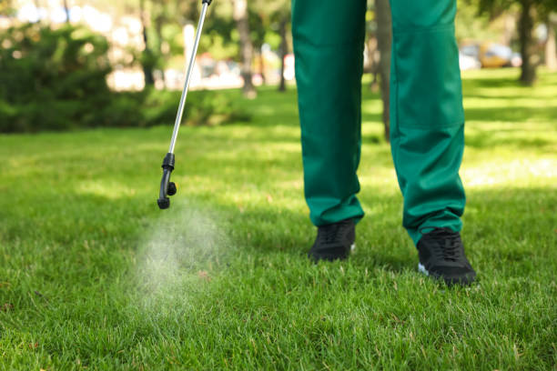 Best Best Pest Control Companies  in Big Sandy, TX
