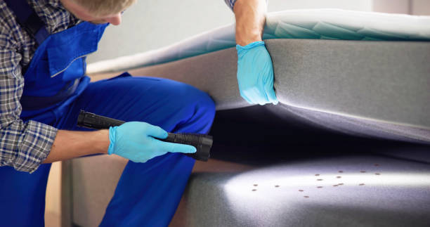 Best Exterminator Services  in Big Sandy, TX
